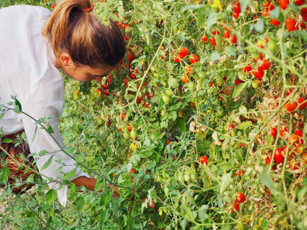Giardino (+ ricette) di Luglio | Bananna Kitchen p8290158 | Bananna Kitchen
