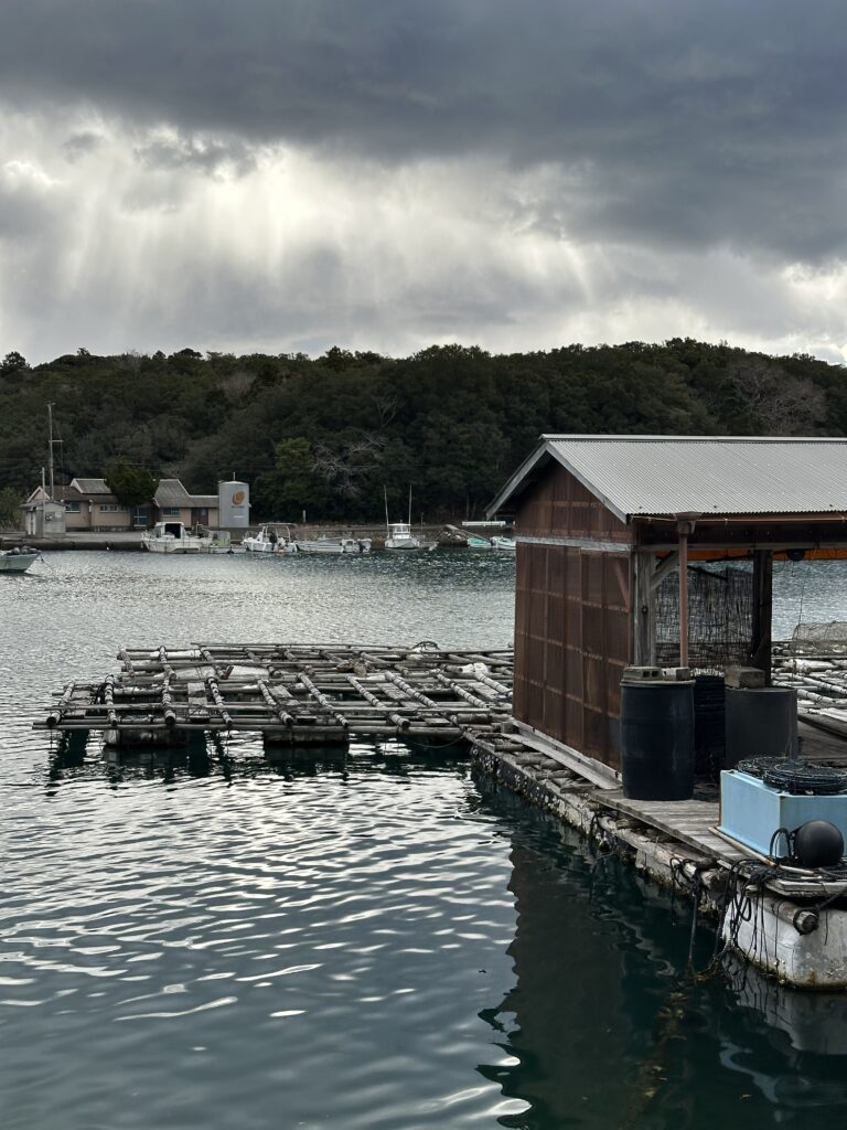 IMG 3482 | Bananna Kitchen