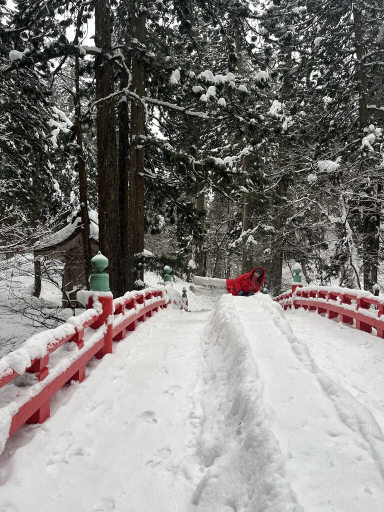 IMG 7146 | Bananna Kitchen