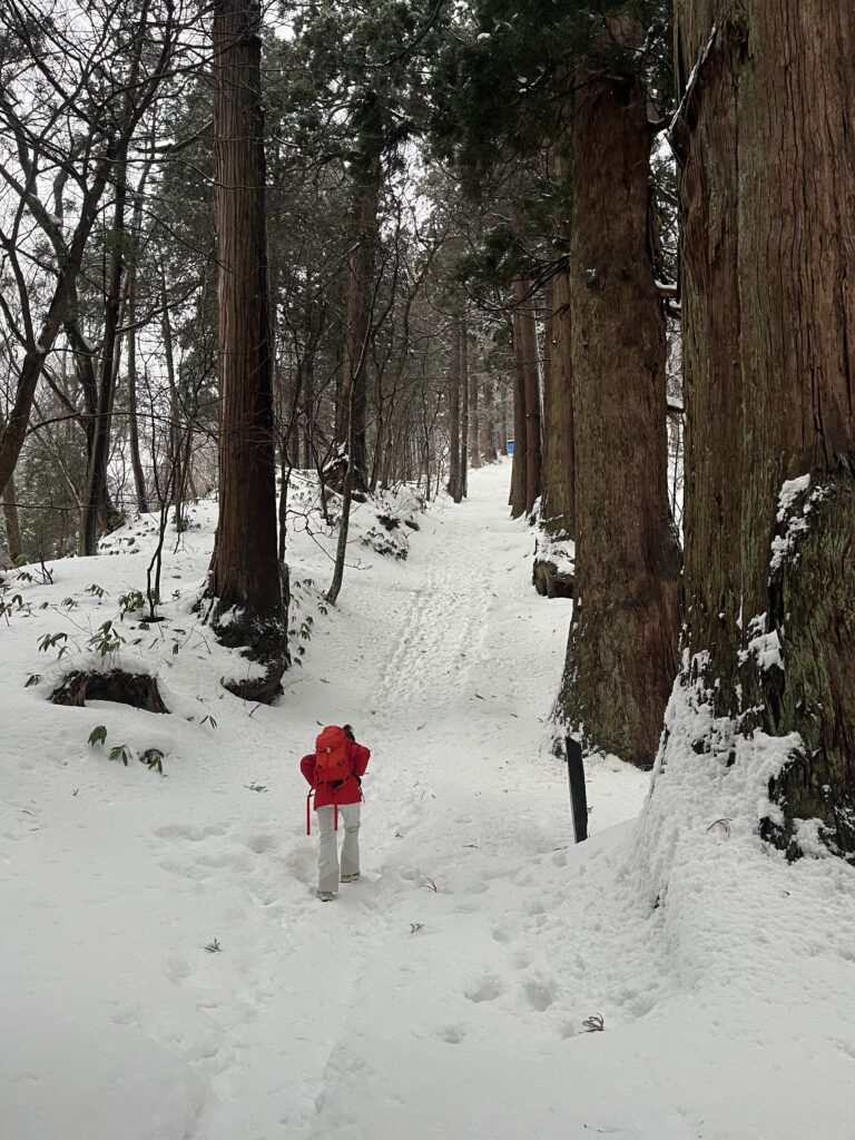 IMG 7167 | Bananna Kitchen