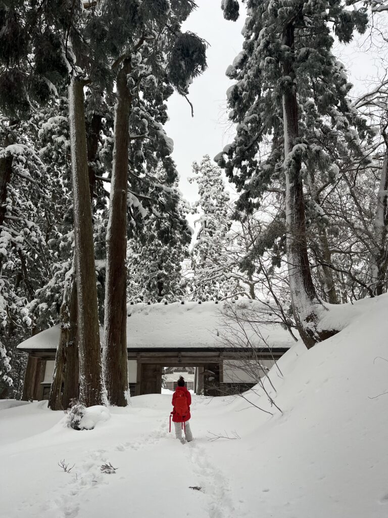 IMG 7185 | Bananna Kitchen