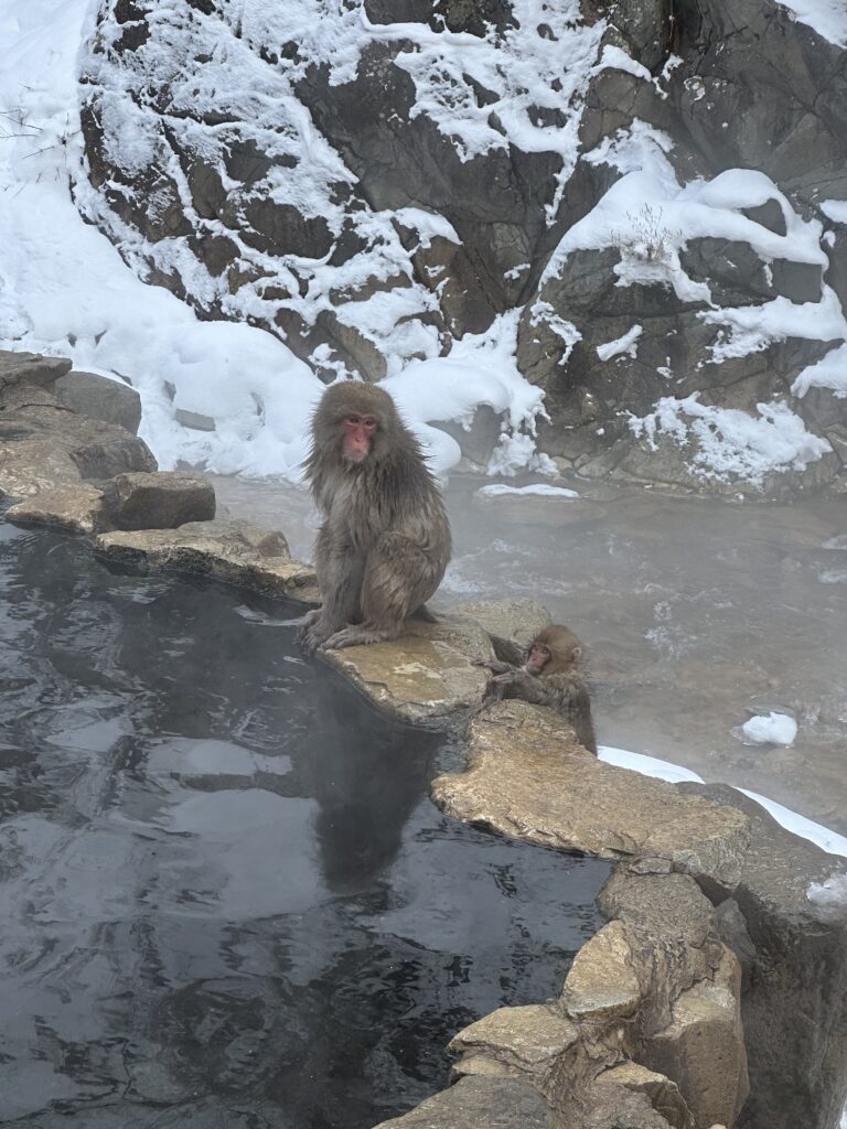 IMG 3668 | Bananna Kitchen