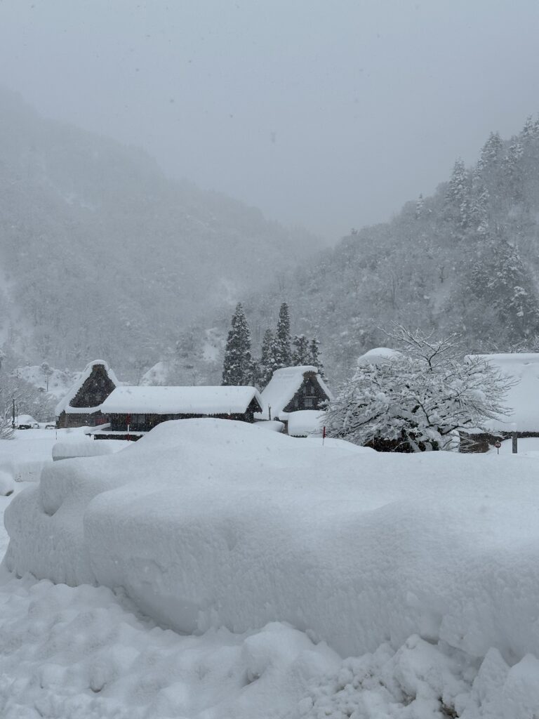 IMG 3926 | Bananna Kitchen