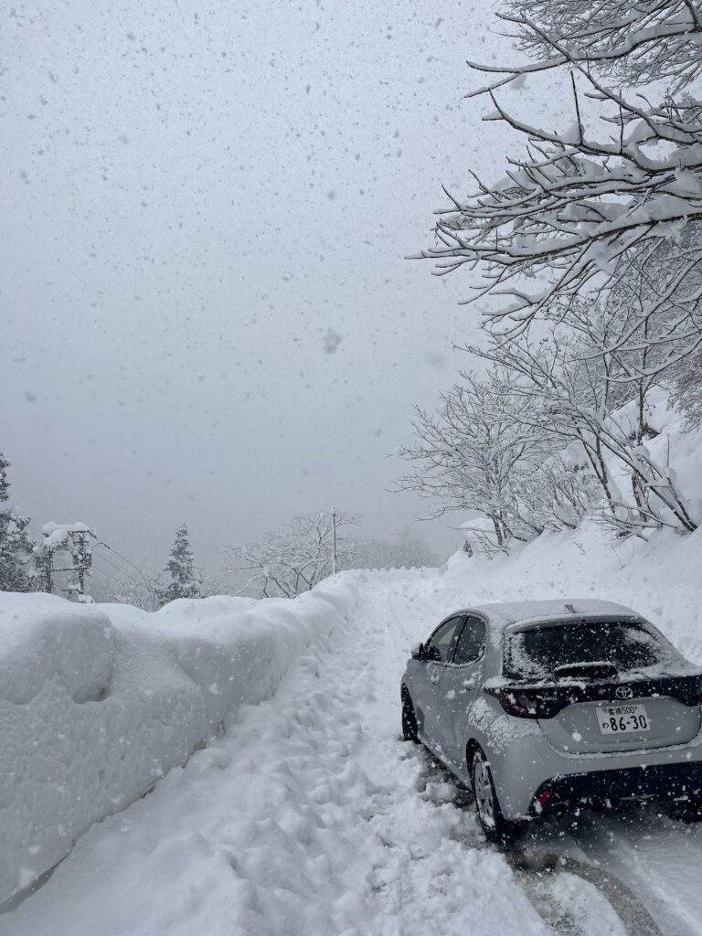 IMG 6970 | Bananna Kitchen